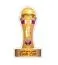 กาตาร์ คราวน์ ปรินซ์ คัพ (Qatar Crown Prince Cup)