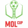 เช็ก คัพ (Czech Republic Cup)
