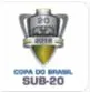 บราซิล ยูธ คัพ (Brazil Youth cup)