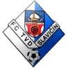 Slavicin