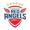 Hyundai Steel Red Angels (W)