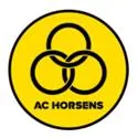 ฮอร์เซนส์ U17 (Horsens U17)