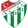 บูร์ซาสปอร์ (Bursaspor)