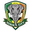 Surin City