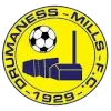 Drumaness Mills
