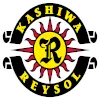 Kashiwa Reysol crest