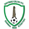 เวย์ไซด์ เซลติก (Wayside Celtic)