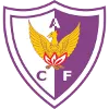 เซ็นโทร แอตเลติโก เฟนิกซ์ (Centro Atletico Fenix)