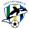 ออร์ก้า คาโมกาวะ เอฟซี (หญิง) (Orca Kamogawa FC (W))