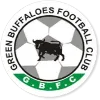 กรีน บัฟฟาโลส์ (Green Buffaloes)