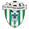 Bzenec