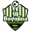 SD Bogojina