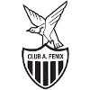 Atletico Fenix Reserves