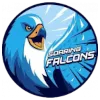 Adamson Falcons
