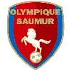 Saumur OL