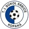 TJ Sokol Srbice