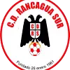 ซีดี รันคากัว ซูร์ (CD Rancagua Sur)