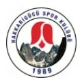 ฮัคคาริกูคู เอสเค (W) (Hakkarigucu SK (W))