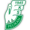 Pelikan Lowicz