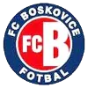 บอสโควิซ (Boskovice)