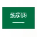 ซาอุดีอาระเบีย U17 (Saudi Arabia U17)