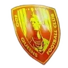 เอโด ควีนส์ (หญิง) (Edo Queens (W))