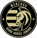 เหวินโจว โปรเฟสชันแนล (Wenzhou Professional)
