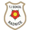 TJ Sokol Radnice