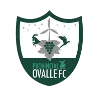 โปรวินเชียล โอวาเย (Provincial Ovalle)