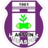 Artvin Hopaspor
