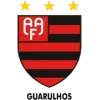 ฟลาเมงโก้ SP U23 (Flamengo SP U23)