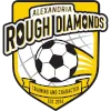 Alexandria Rough Diamonds