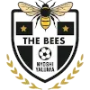 The Bees FC