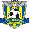 SV Valkenswaard