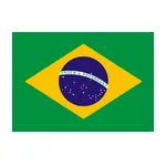 Brazil Futsal