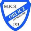 Orlicz Suchedniow