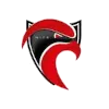 Nice Cavigal U19