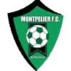 มงต์เปลลิเยร์ เอฟซี (Montpelier FC)