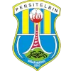 Persitelbin