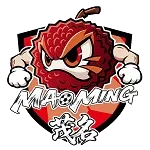 Maoming Team