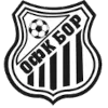 Bor 1919