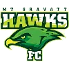 เมาท์ กราแวตต์ ฮอว์กส์ (Mount Gravatt Hawks)