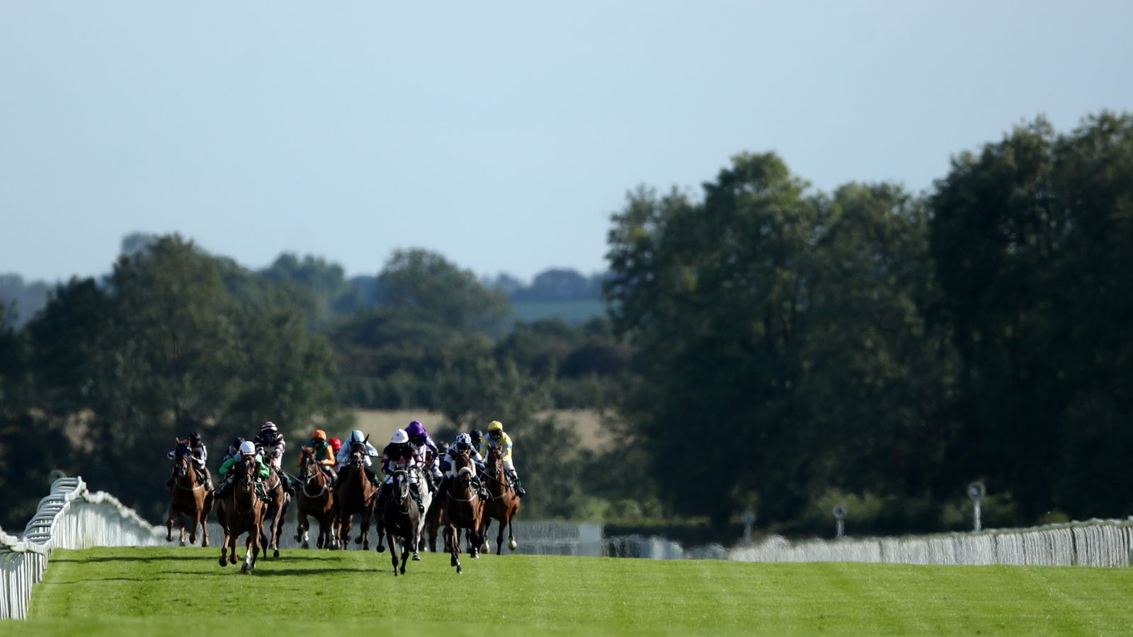 ส่องกล้อง Sky Sports Racing วันนี้: Hereford & Ripon, Sixtygeesbaby นำทีม!