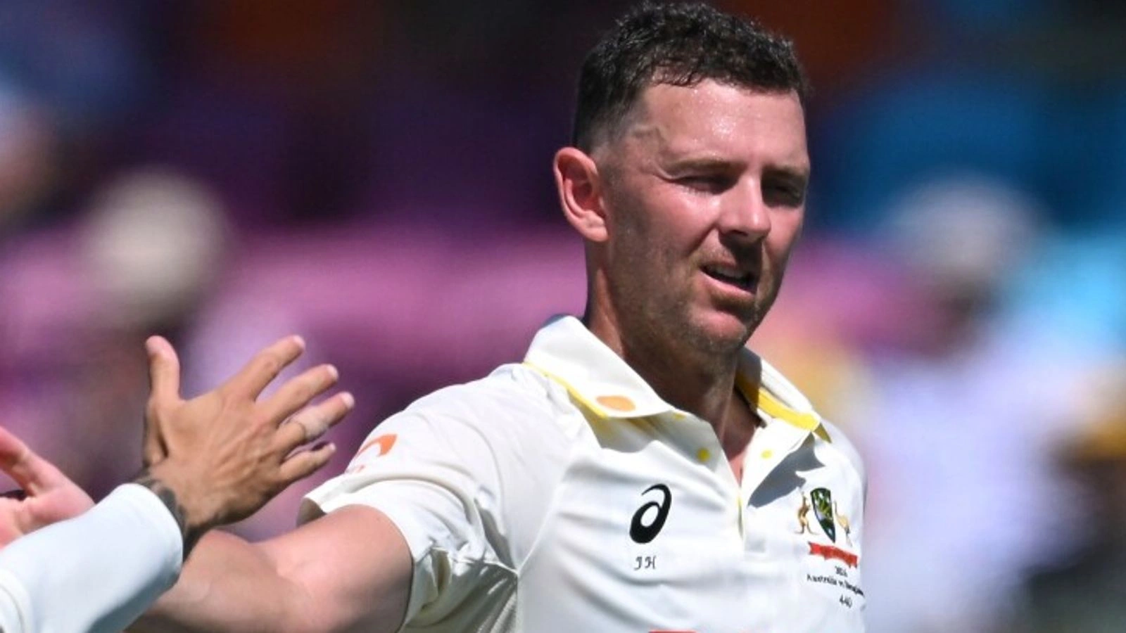 Josh Hazlewood นำทัพ Australia ชนะ South Africa ด้วยผลงานดีที่สุดในอาชีพ 6-49