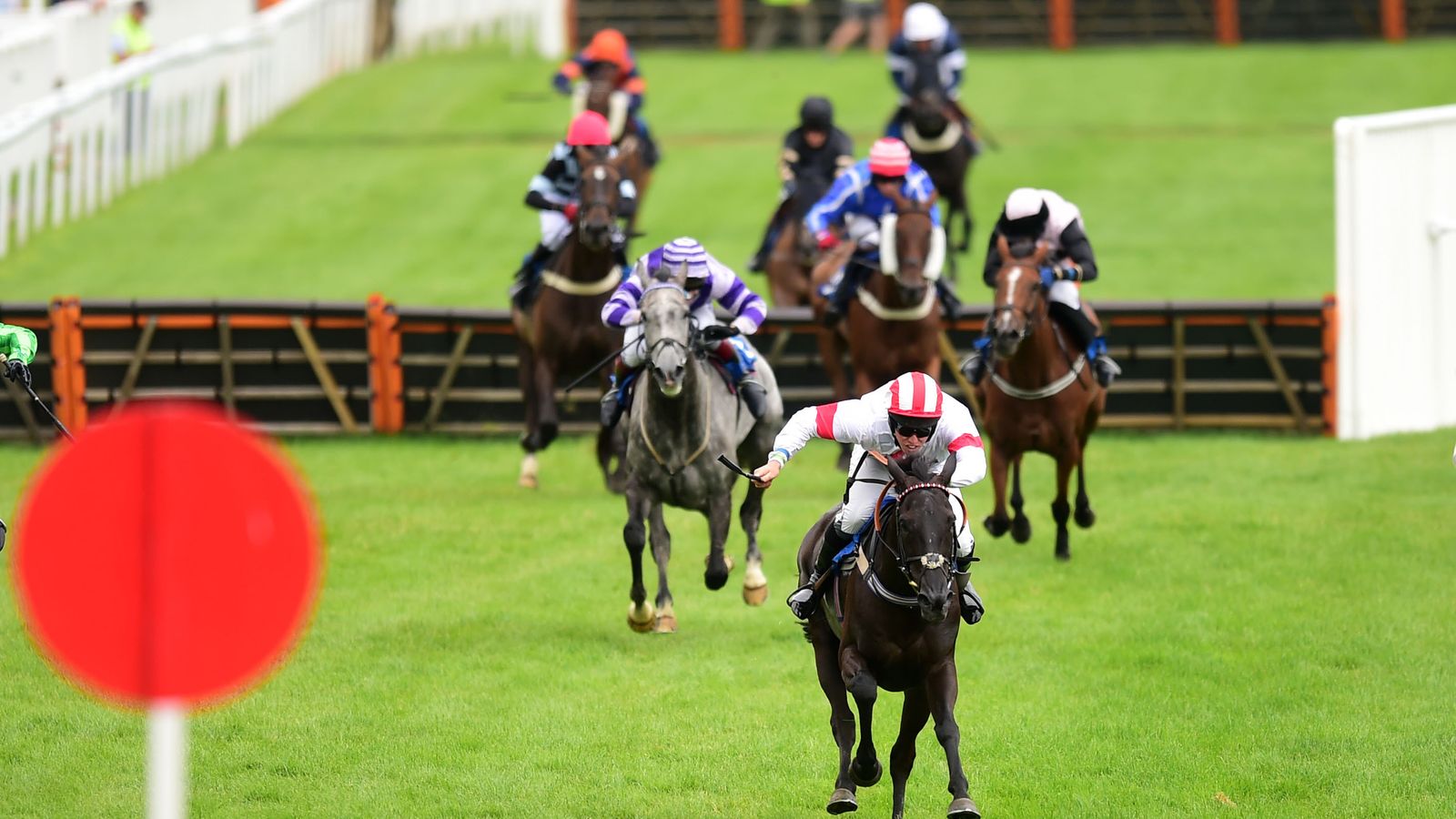 วันนี้ที่ Sky Sports Racing: Newton Abbot & Wolverhampton จัดเต็ม!