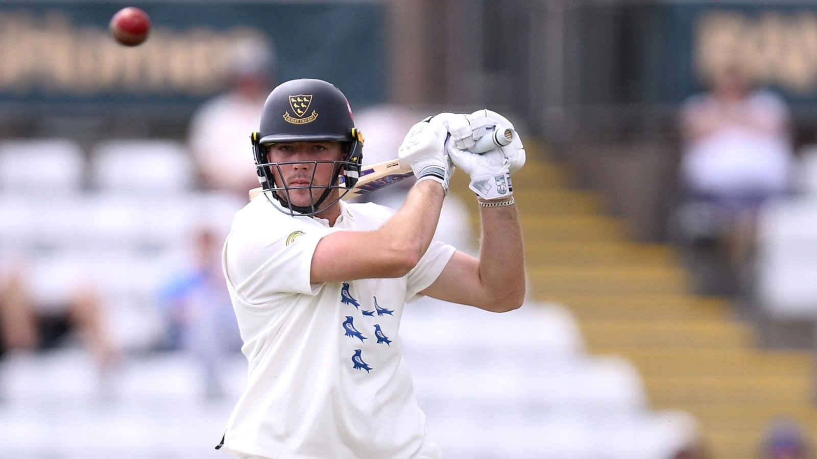 Sussex ทะยานขึ้นจ่าฝูง County Championship หลัง James Coles ระเบิดฟอร์มทำ Double Century ดับ Glamorgan
