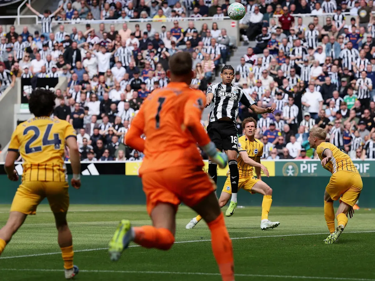 Newcastle United ทุบนกนางนวลนิ่มๆ: เมื่อ William Osula เริ่มเครื่องติด และ Dan Burn ฉลองนัดที่ 150 แบบแสบไส้ทีมเก่า