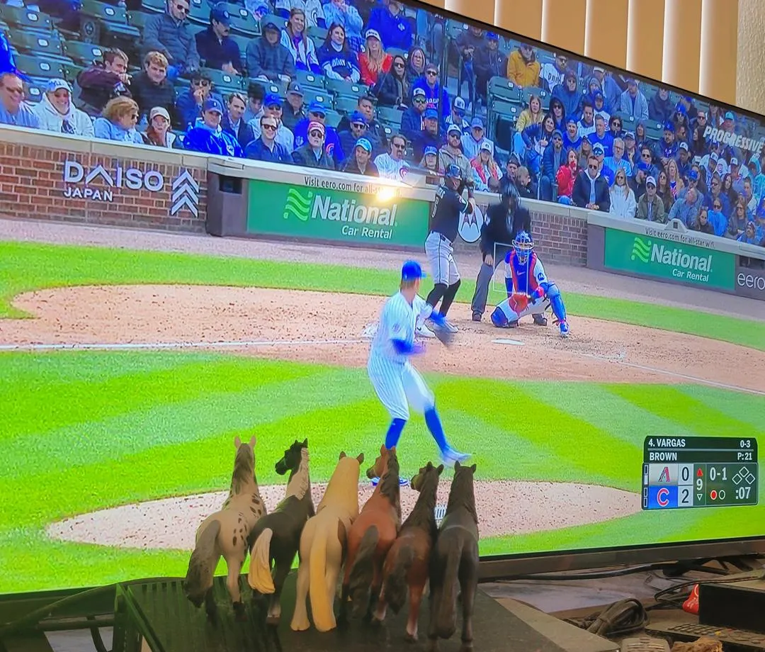 Diamondbacks 0, Tiny Bears 2: เมื่อฝูงงูหลงเข้าไปในลู่วิ่งม้า และถูกขย้ำโดยลูกหมี